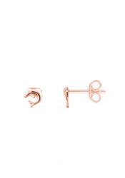 Xenox Kids´ Earrings Dolphin