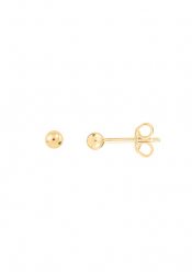 Xenox Ladies´ Earrings