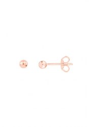 Xenox Ladies´ Earrings