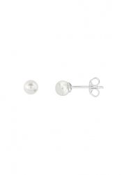 Xenox Ladies´ Earrings