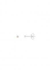 Xenox Ladies´ Earrings