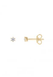 Xenox Ladies´ Earrings