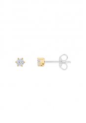 Xenox Ladies´ Earrings