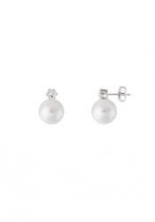 Xenox Ladies´ Earrings