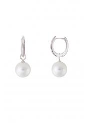 Xenox Ladies´ Earrings