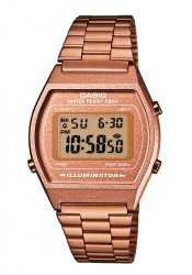 Casio Collection Watch
