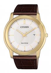 Citizen Eco-Drive Men´s Watch