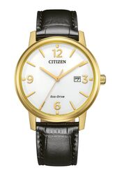 Citizen Eco Drive Pair Men´s Watch gold