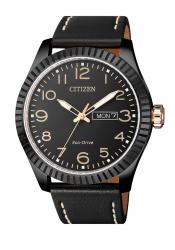 Citizen Eco-Drive Men´s Watch