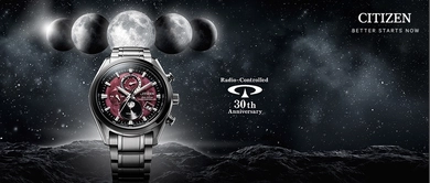 Citizen Eco Drive radio controlled watches