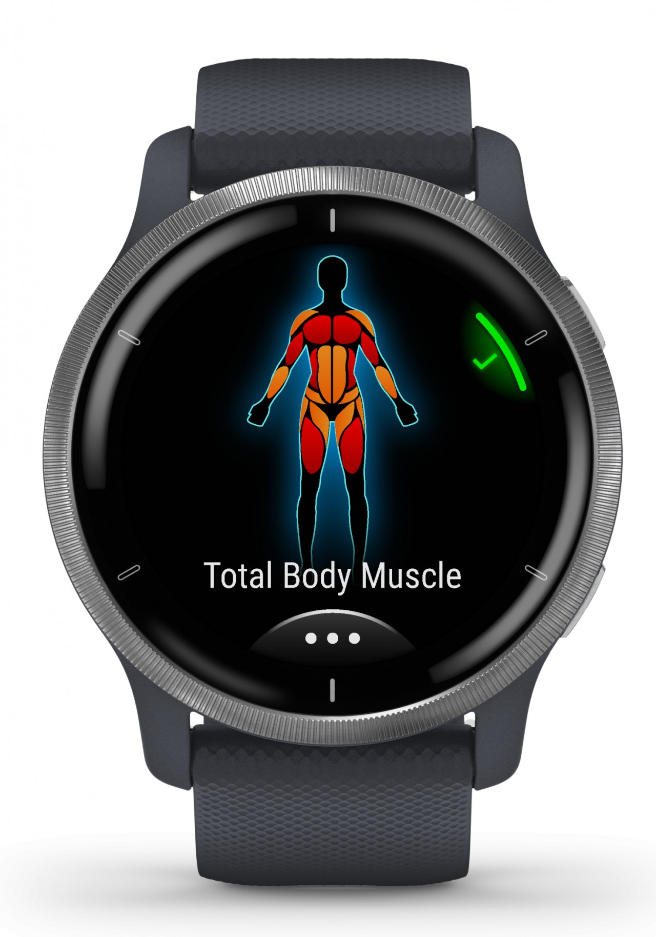 garmin vivomove venu
